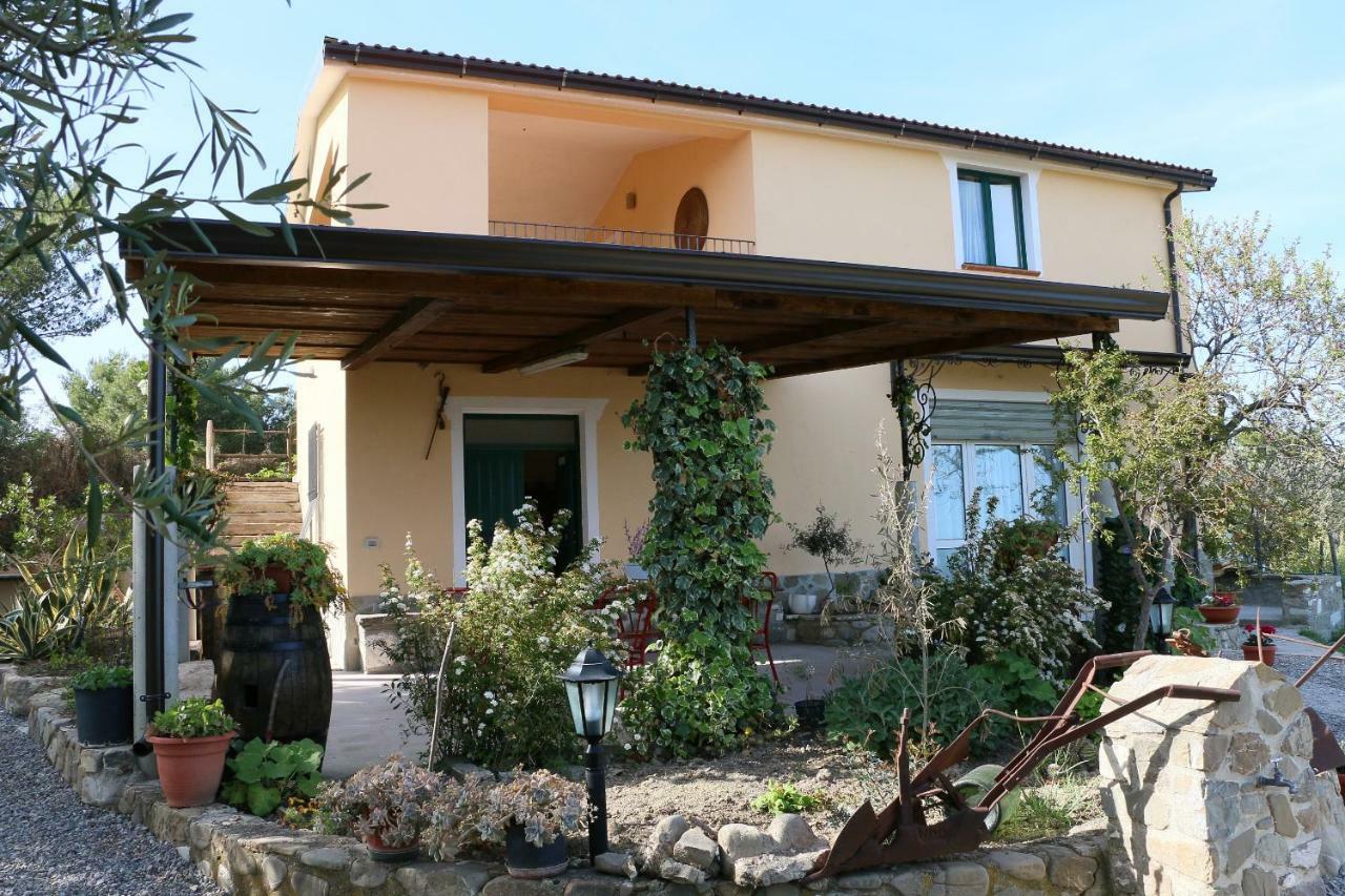 B&B Il Vigneto Trebisacce Exterior photo